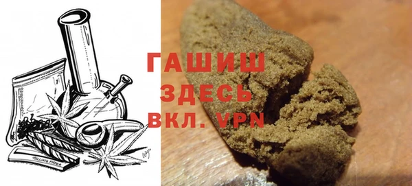 PSILOCYBIN Белокуриха